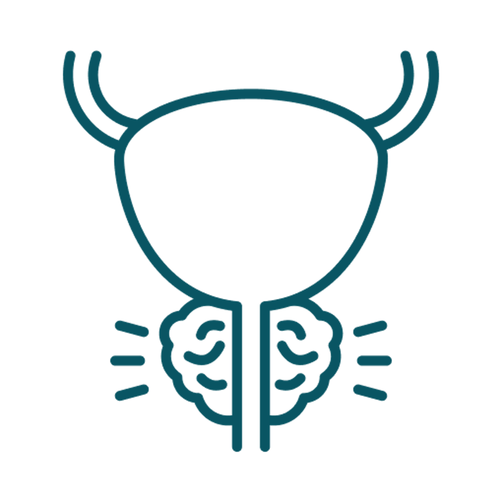 Urologie