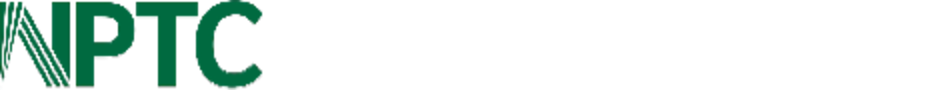 My image