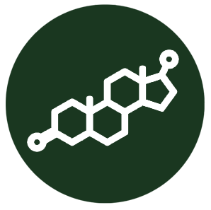 lo-509f958a