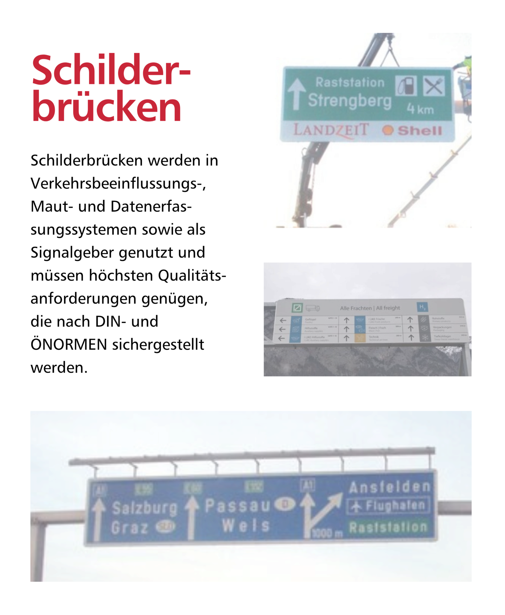 Mein Bild
