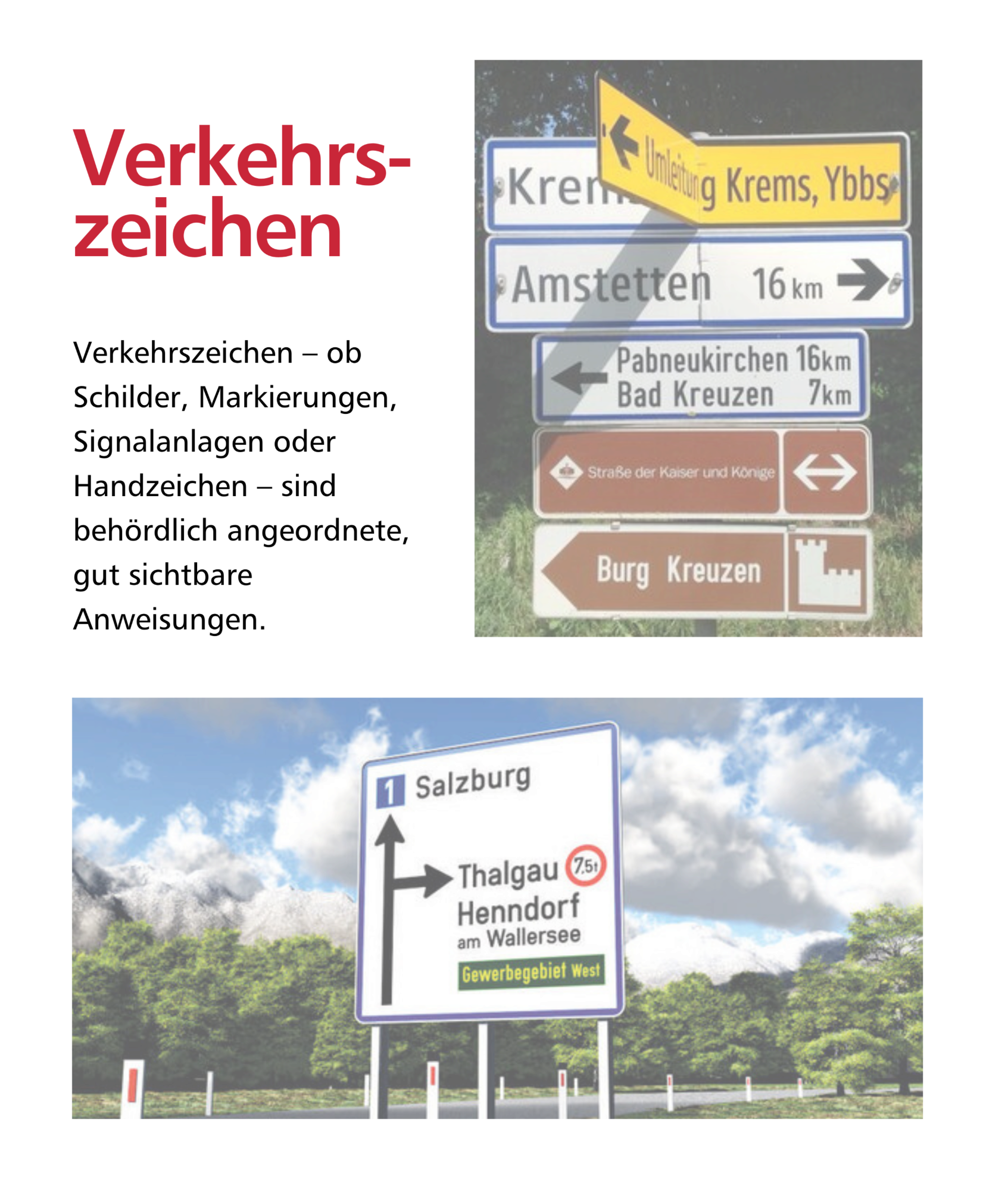 Mein Bild