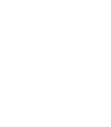 Rücken / Brust
