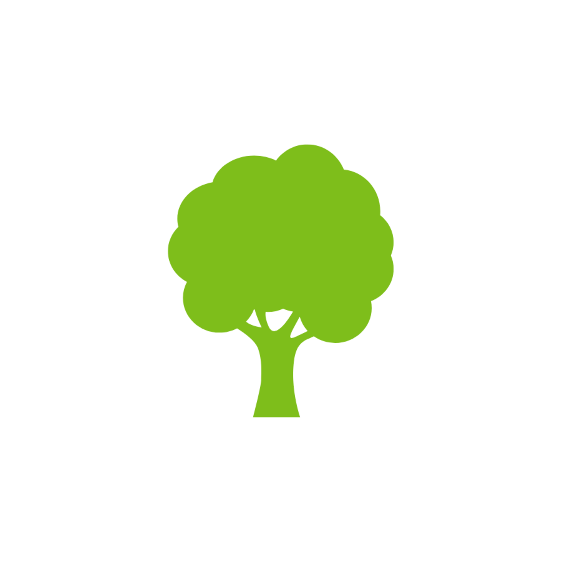 Tree Care
