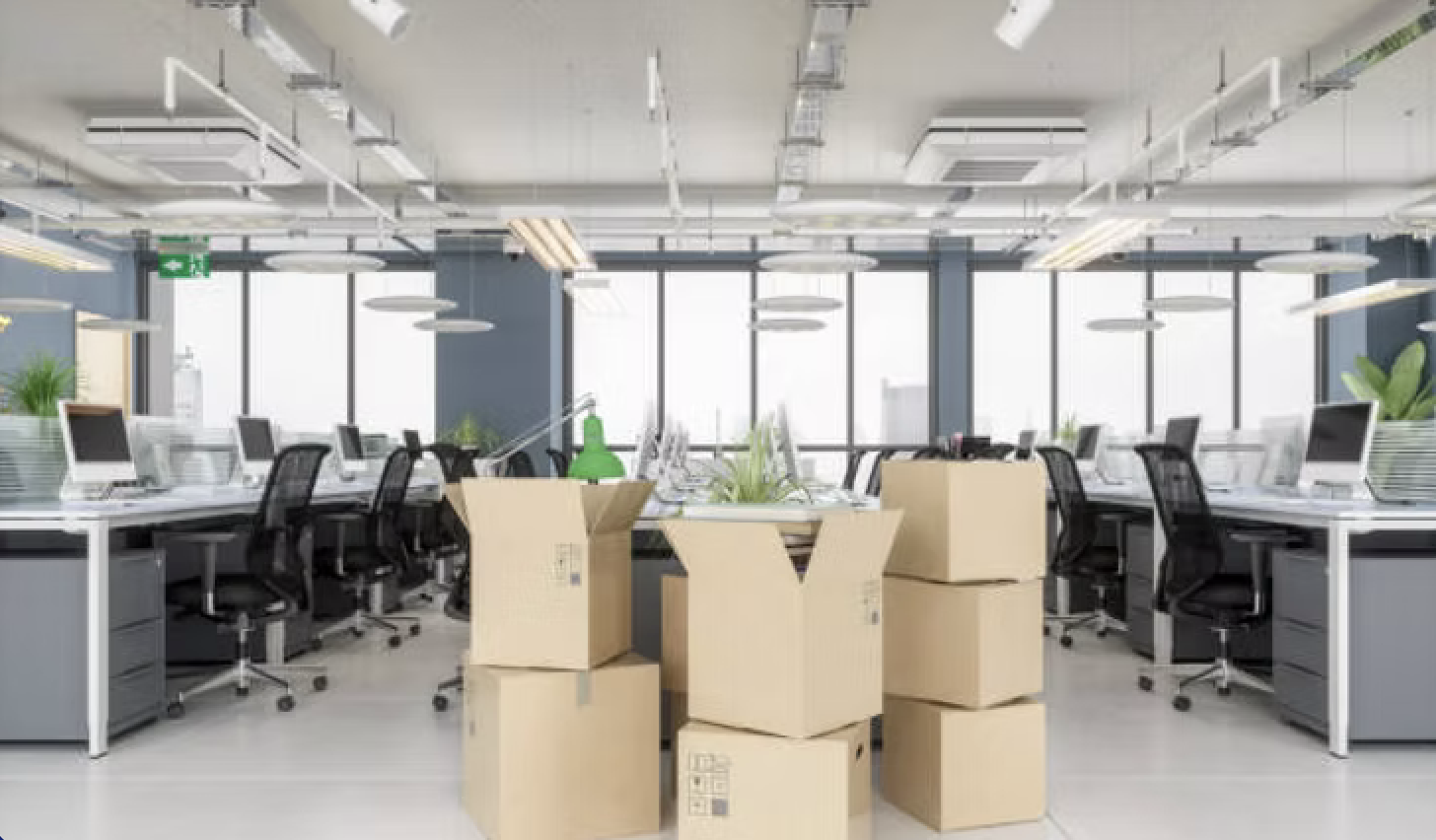Office Removals