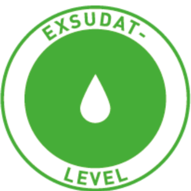 kein bis geringes Exsudat