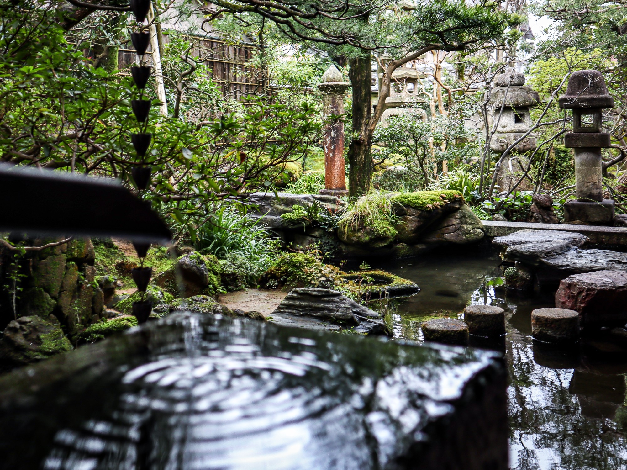 Tradition & Wellness