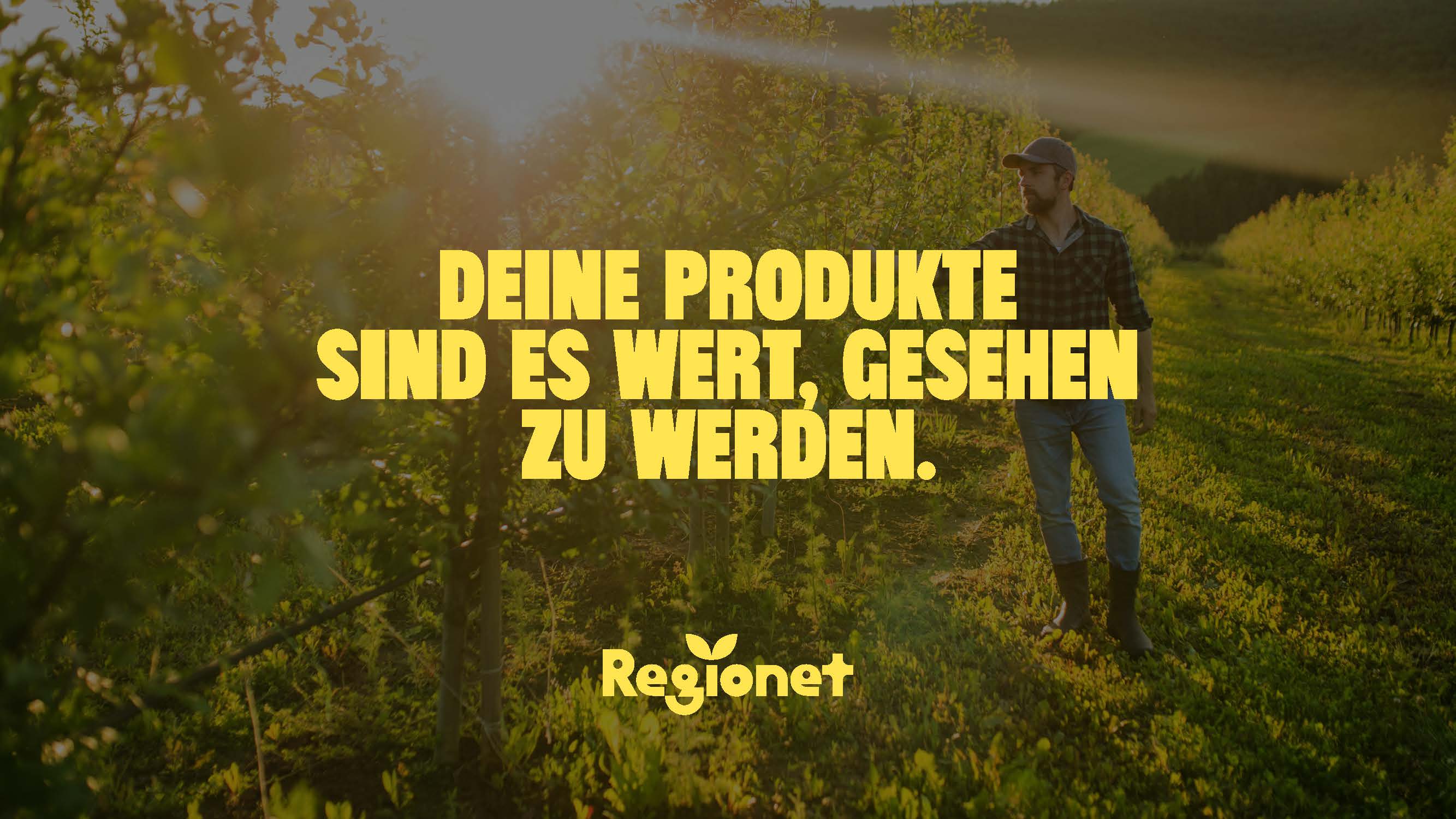 Mein Bild