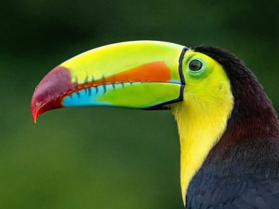 Costa Rica