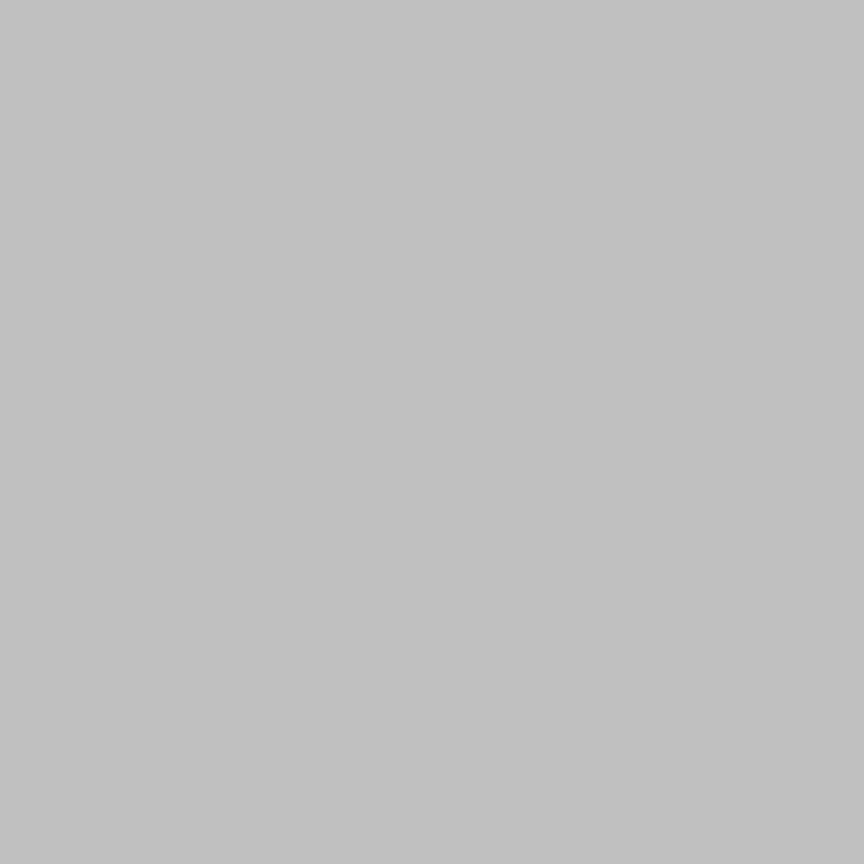 Grey / Silver