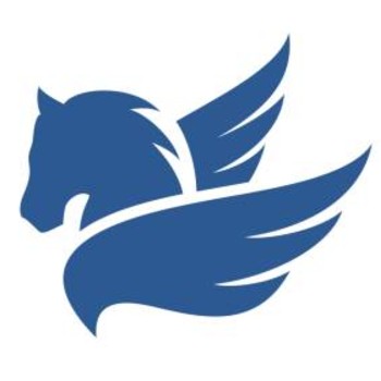 Logo 1