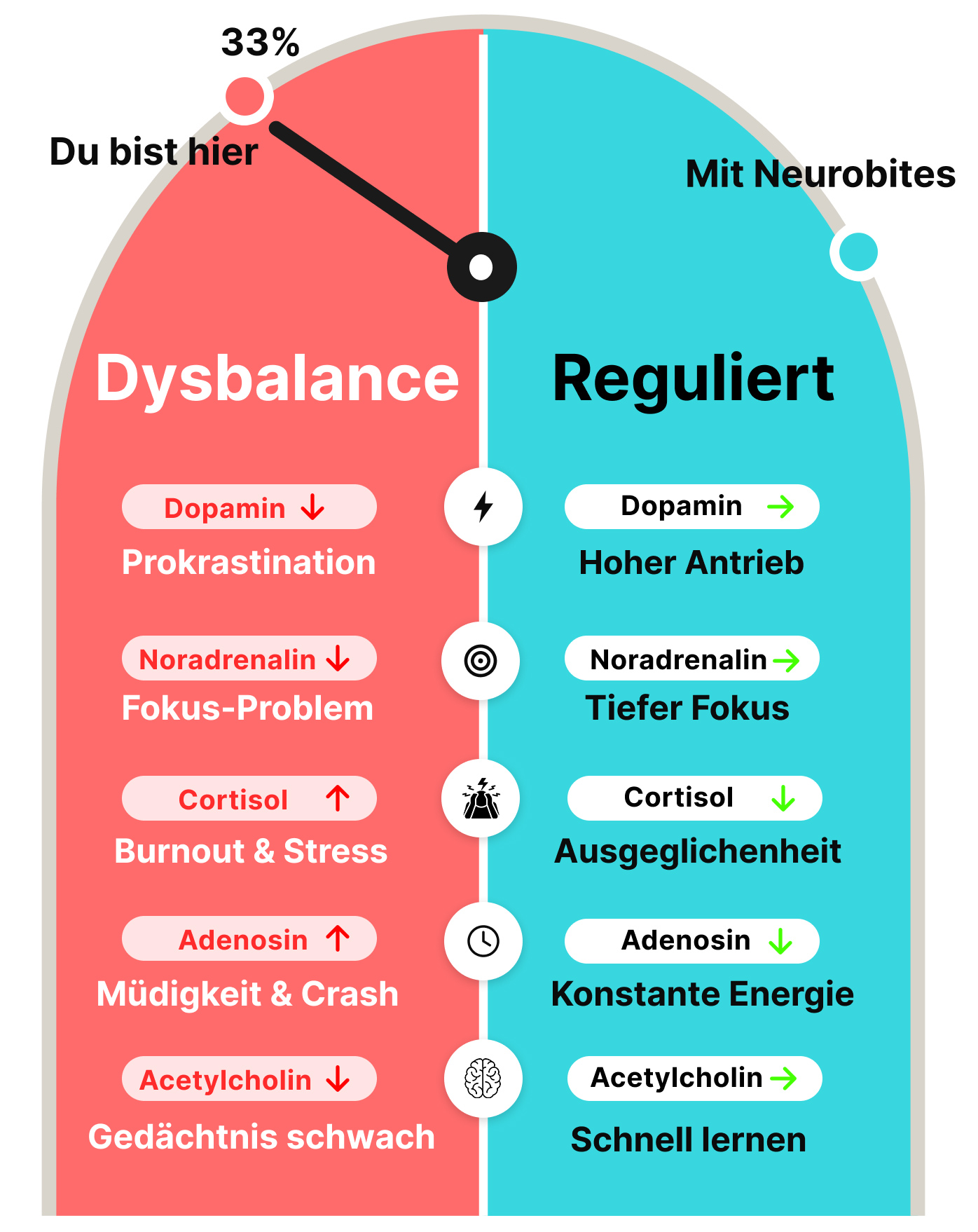 Neurotransmitter Regulation