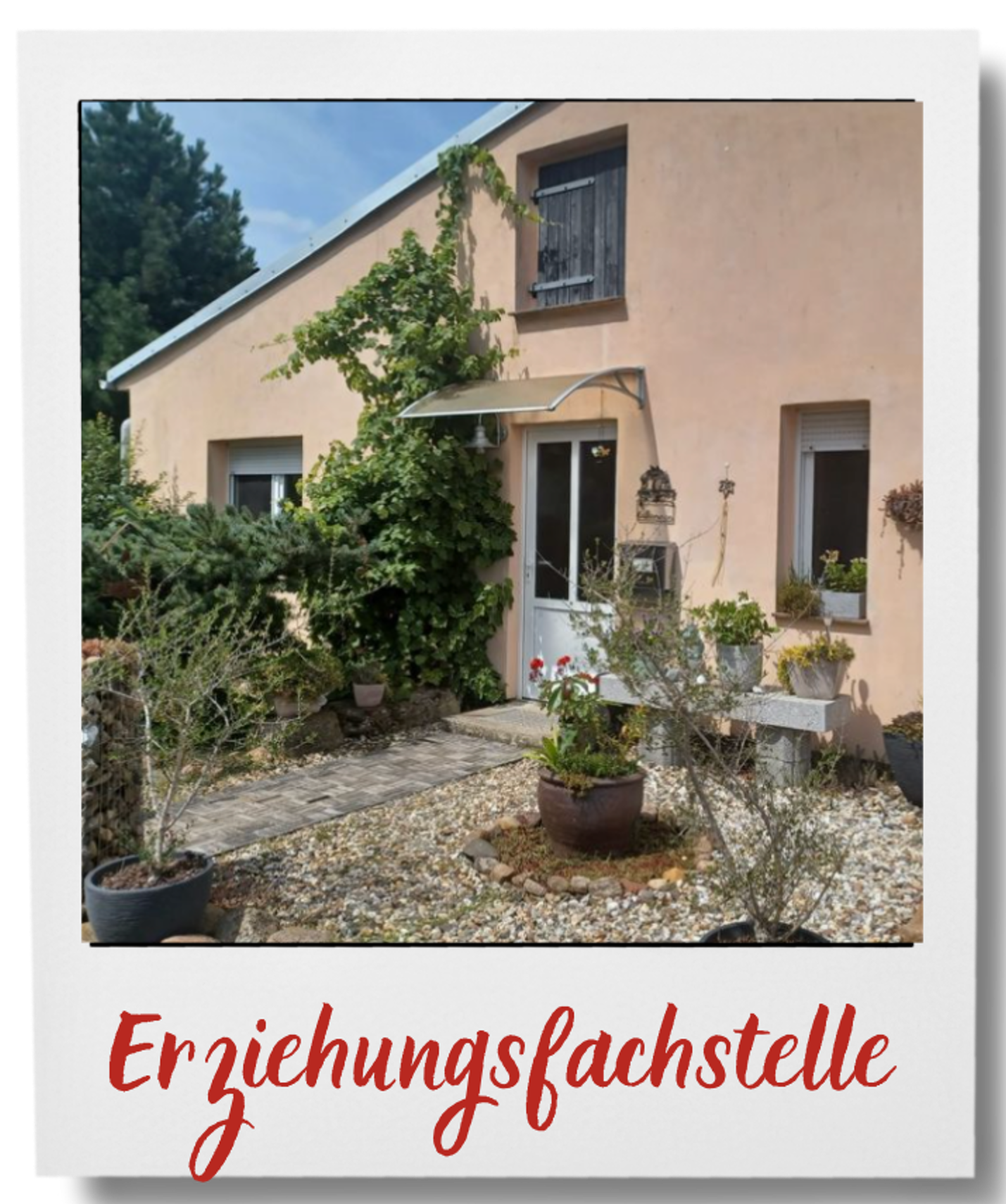 Mein Bild