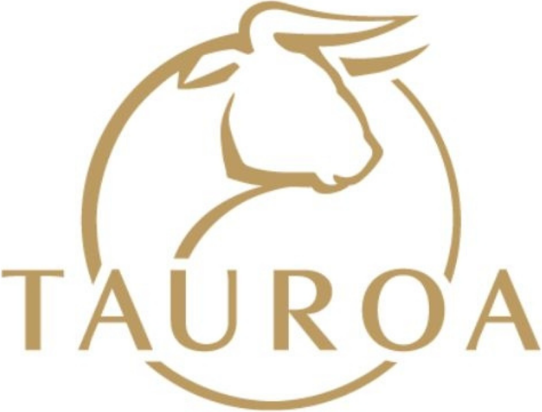 Logo 11