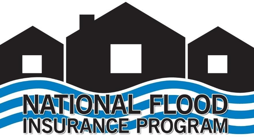 Logo 13