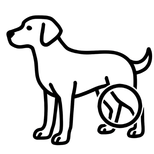 Hinterbeine