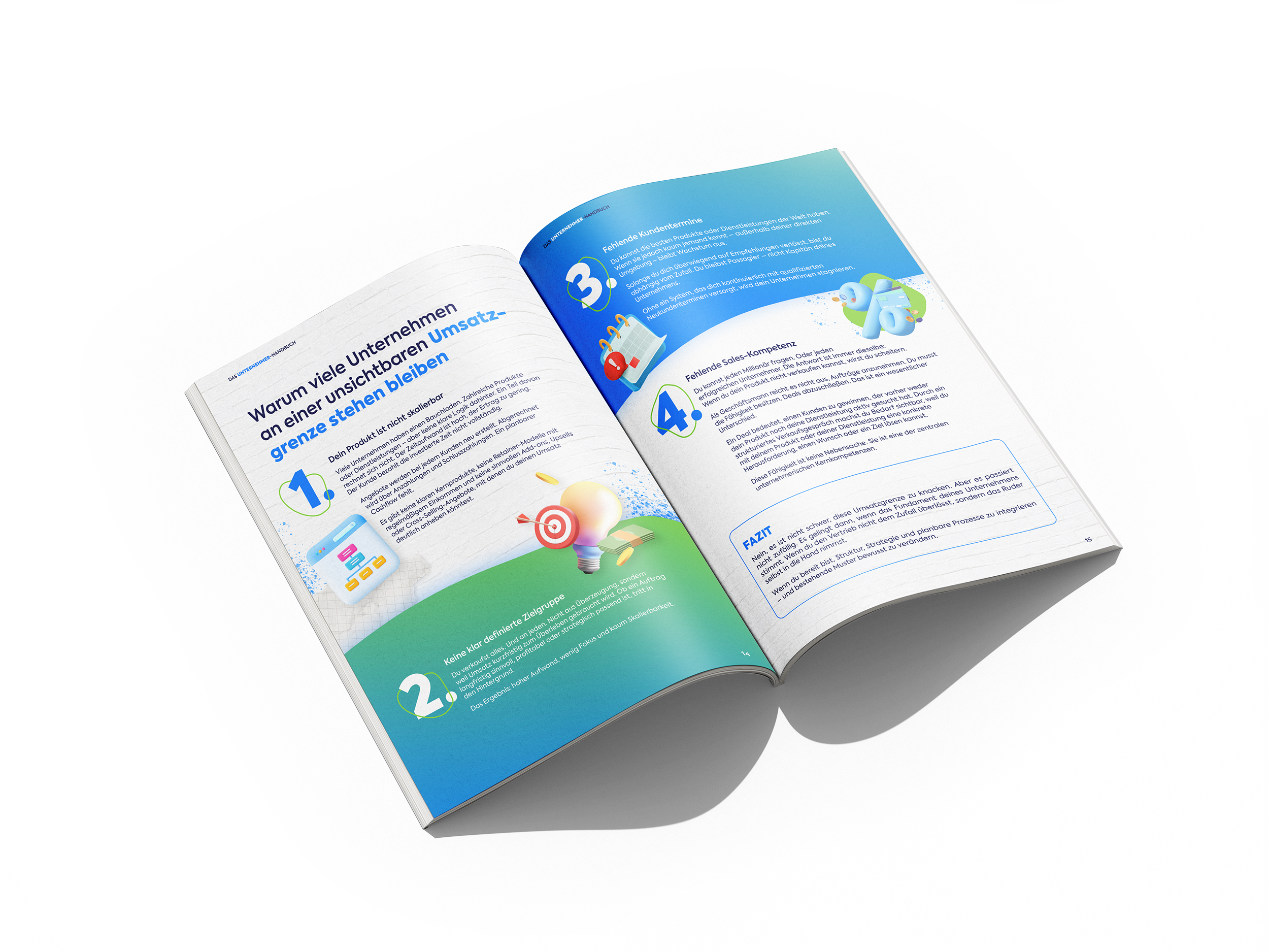 Das Sales Viking Unternehmer - Handbuch 01