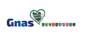 Logo 7