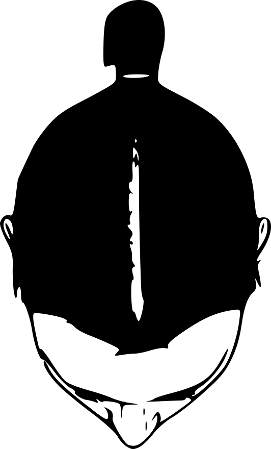 Scheitelbereich