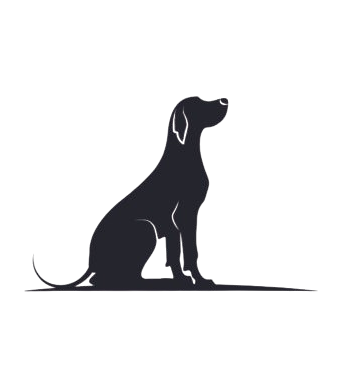 Canine