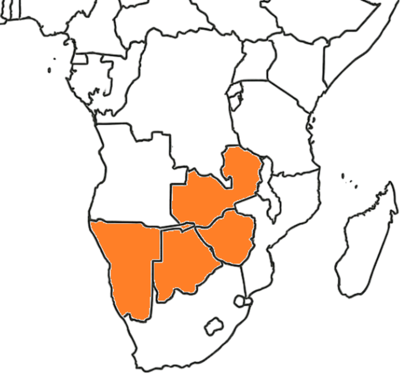 Südliches Afrika