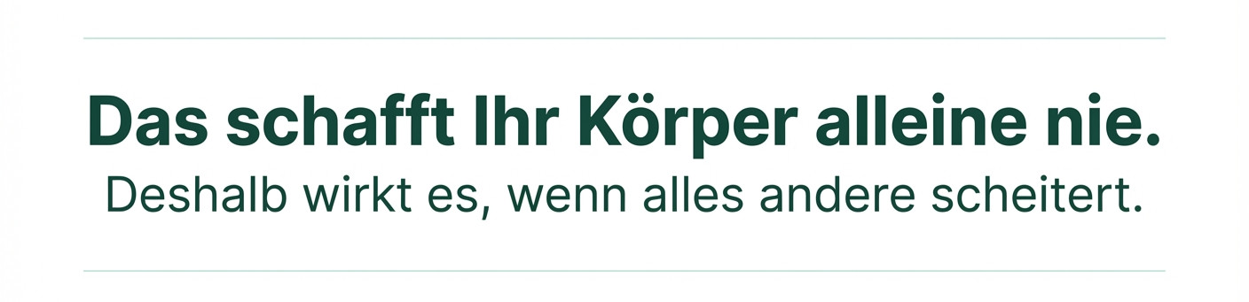 Mein Bild