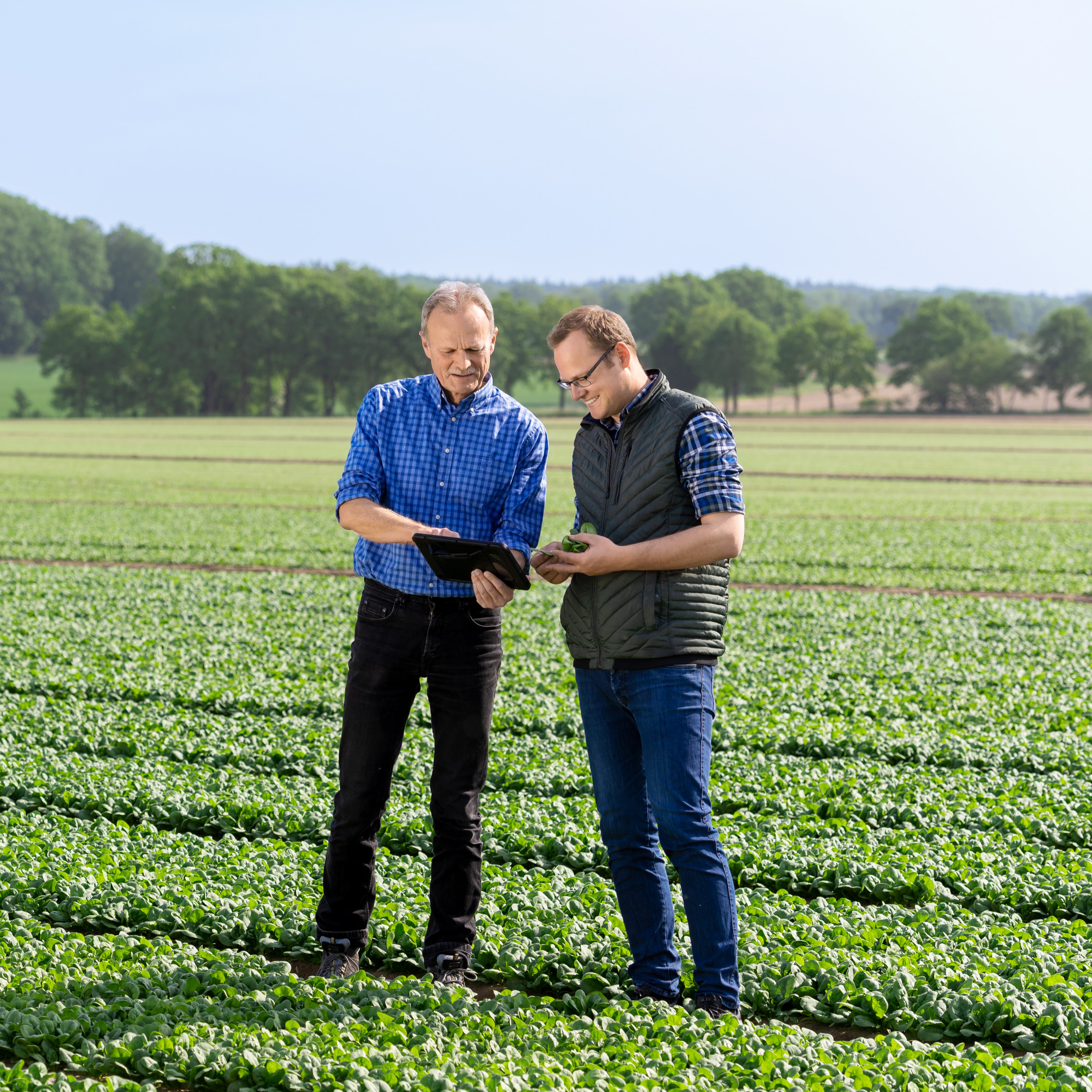 Pflanzenbauleiter / Anbauleiter (m/w/d)