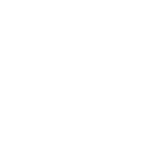 Limousine