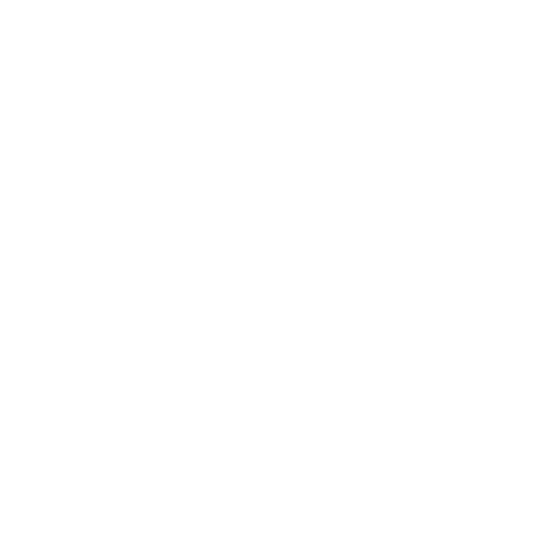 Van/Kleinbus