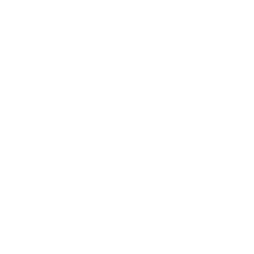 Kastenwagen