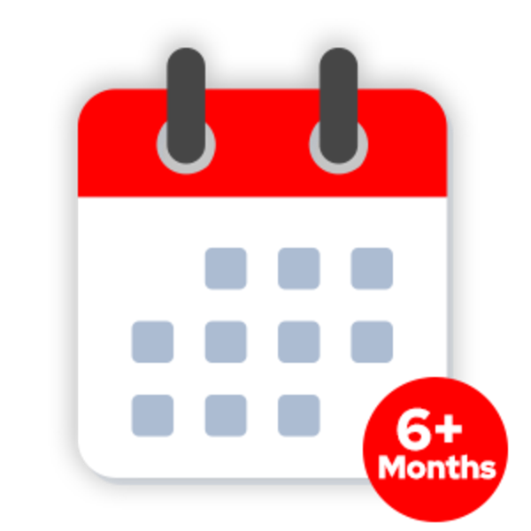 More Than 6 Months