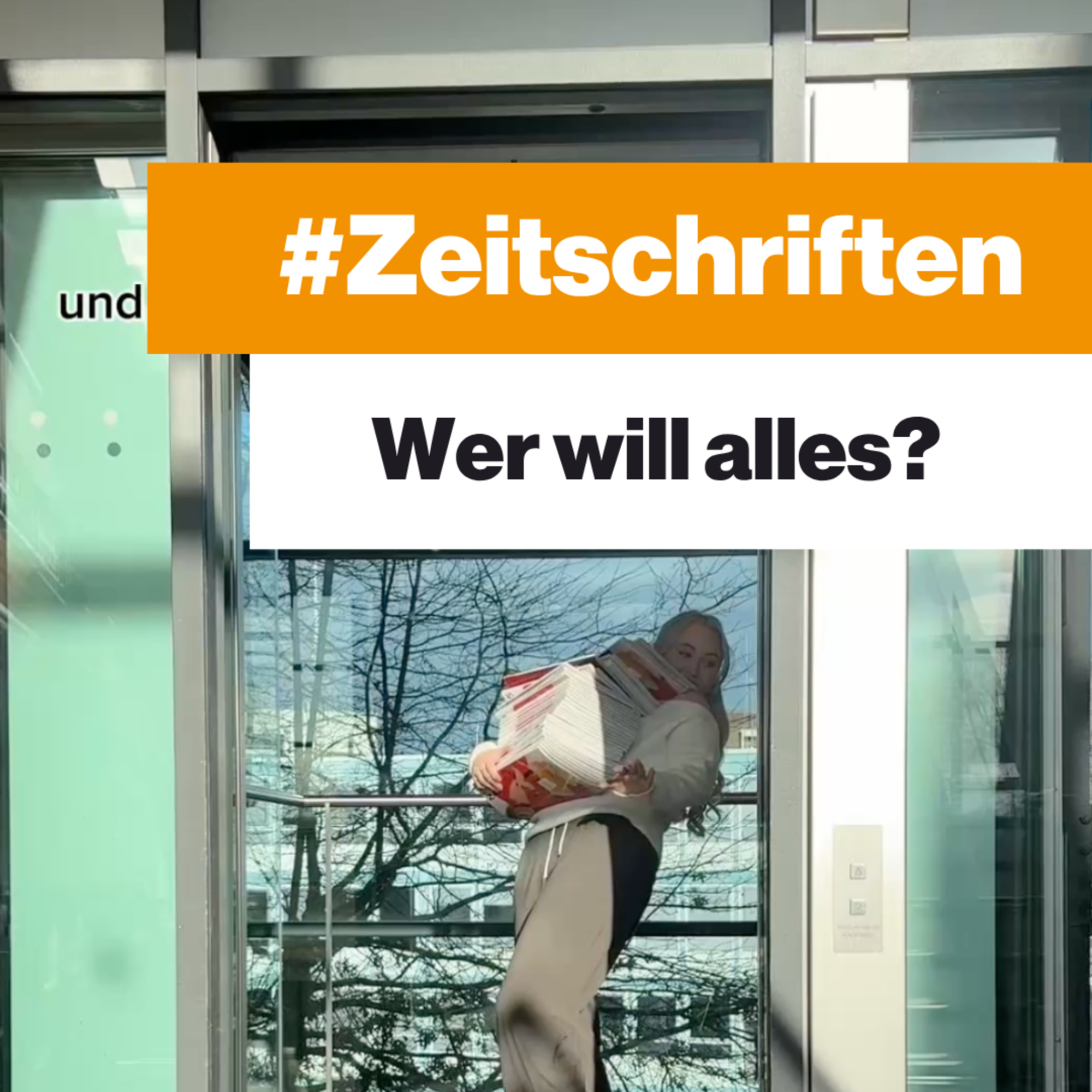 Mein Bild