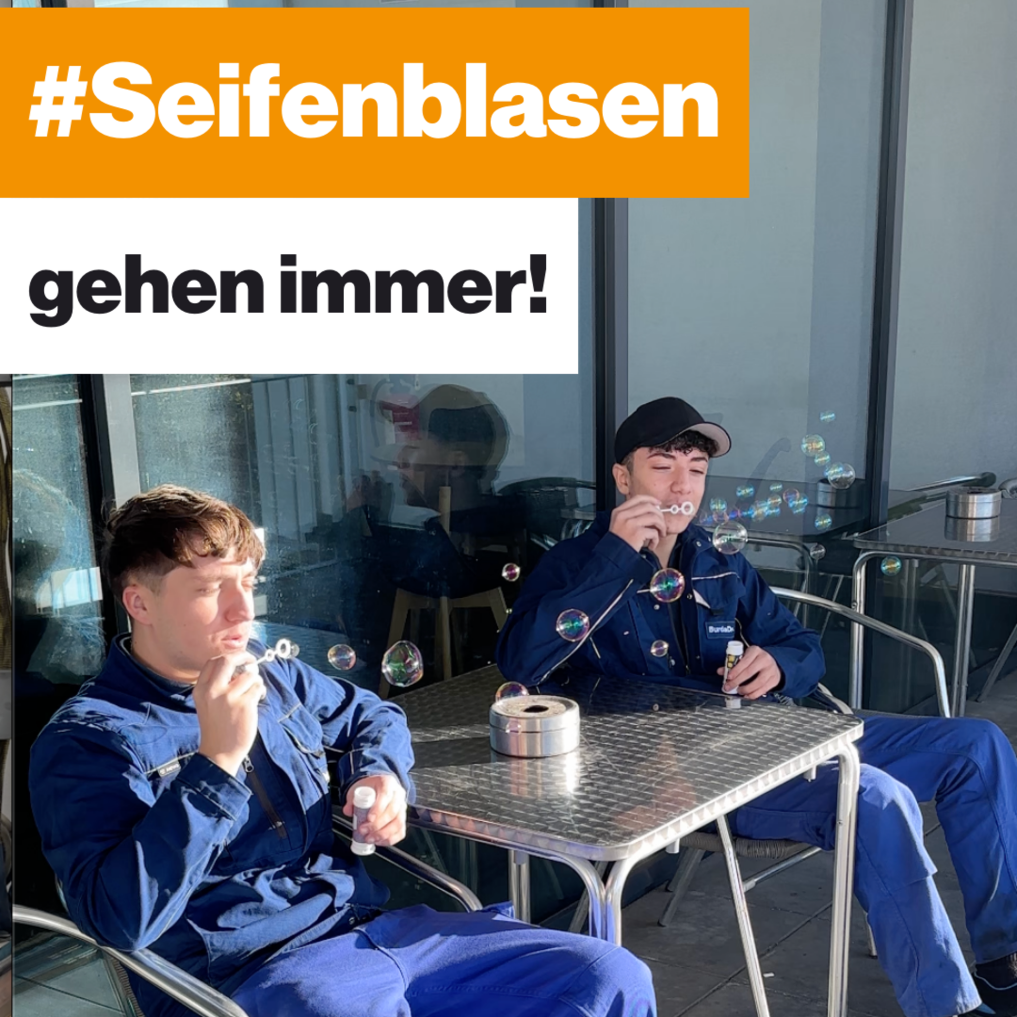 Mein Bild