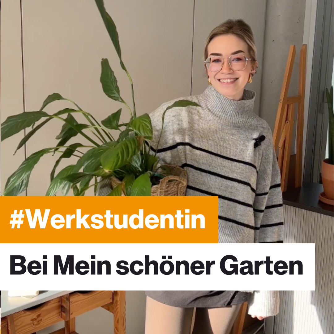 Mein Bild