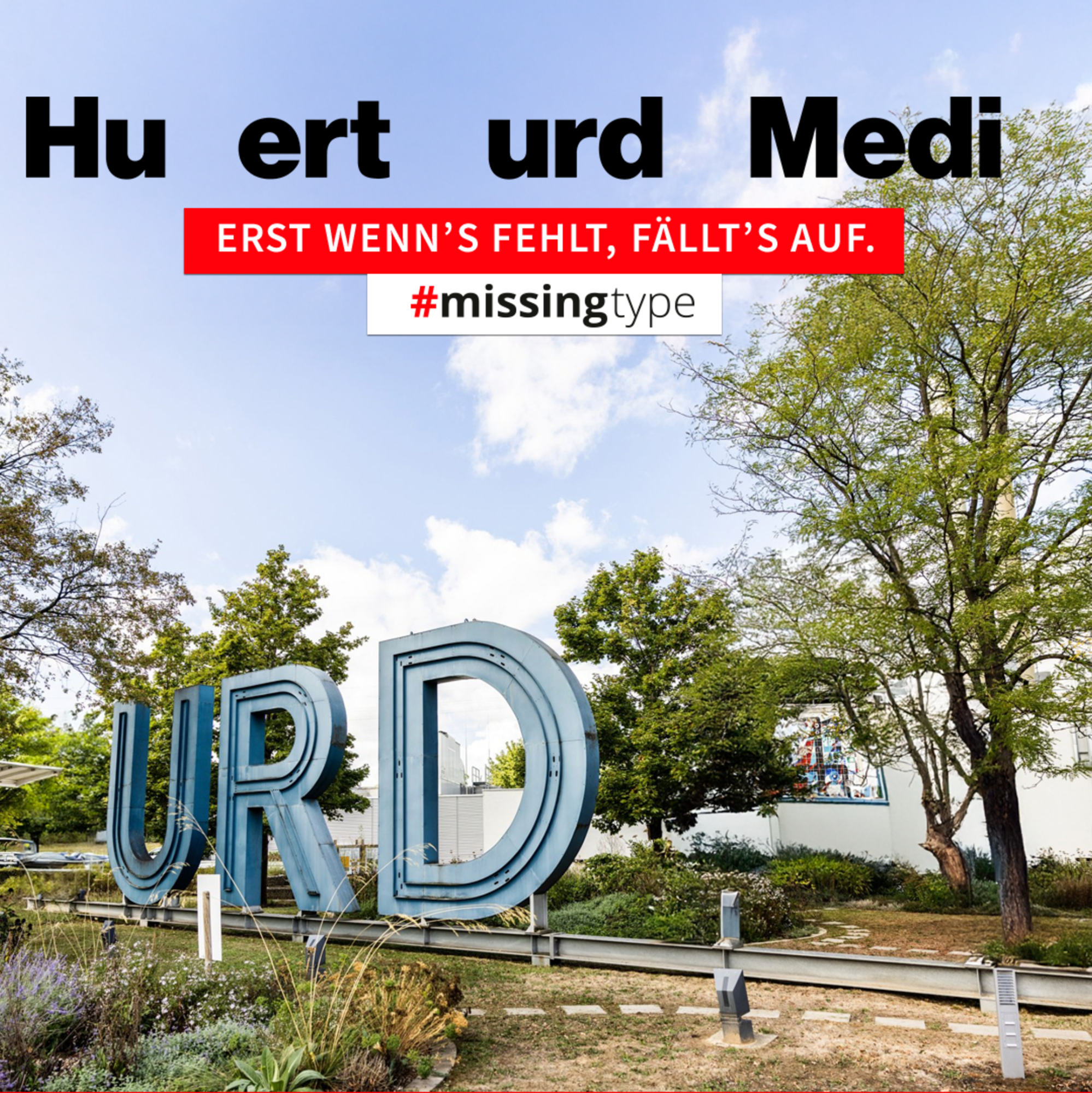 Mein Bild