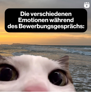 Mein Bild