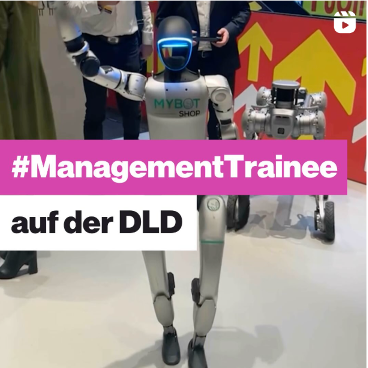 Mein Bild
