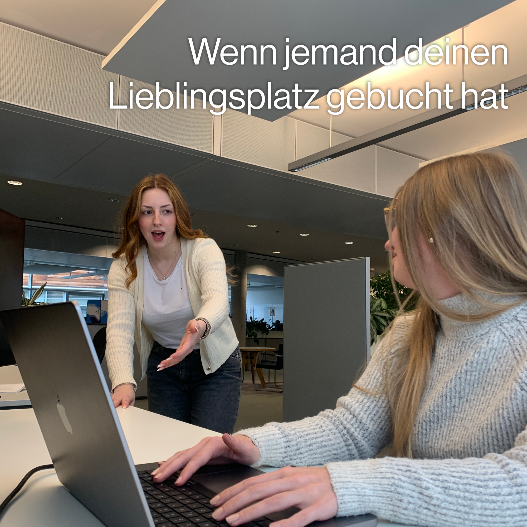 Mein Bild