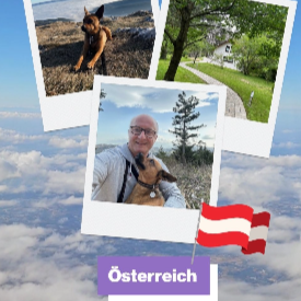 Mein Bild