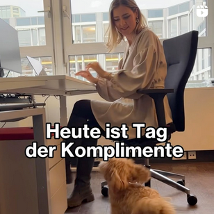 Mein Bild