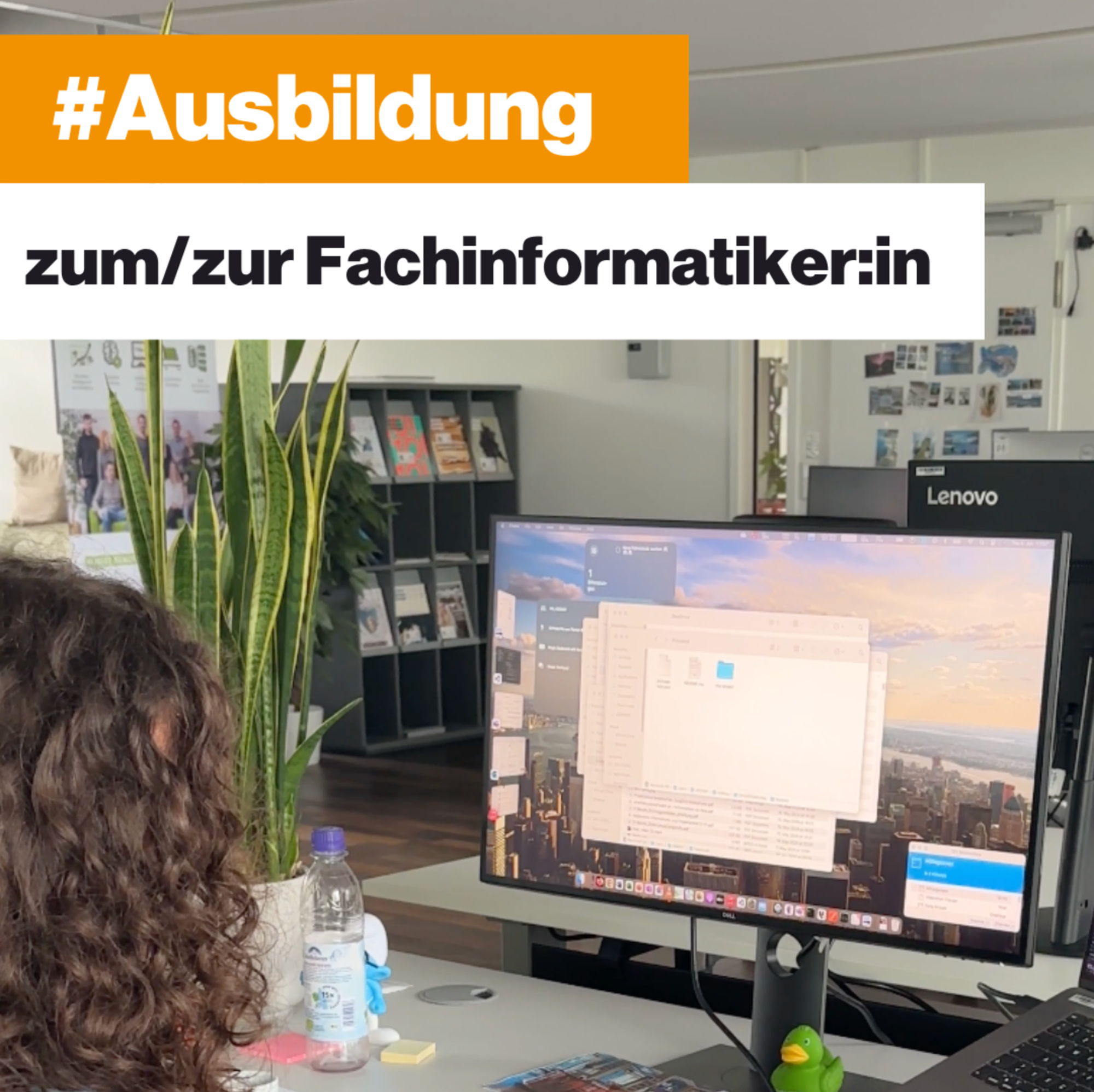Mein Bild