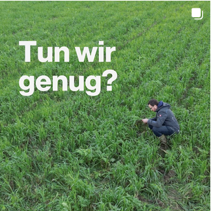 Mein Bild