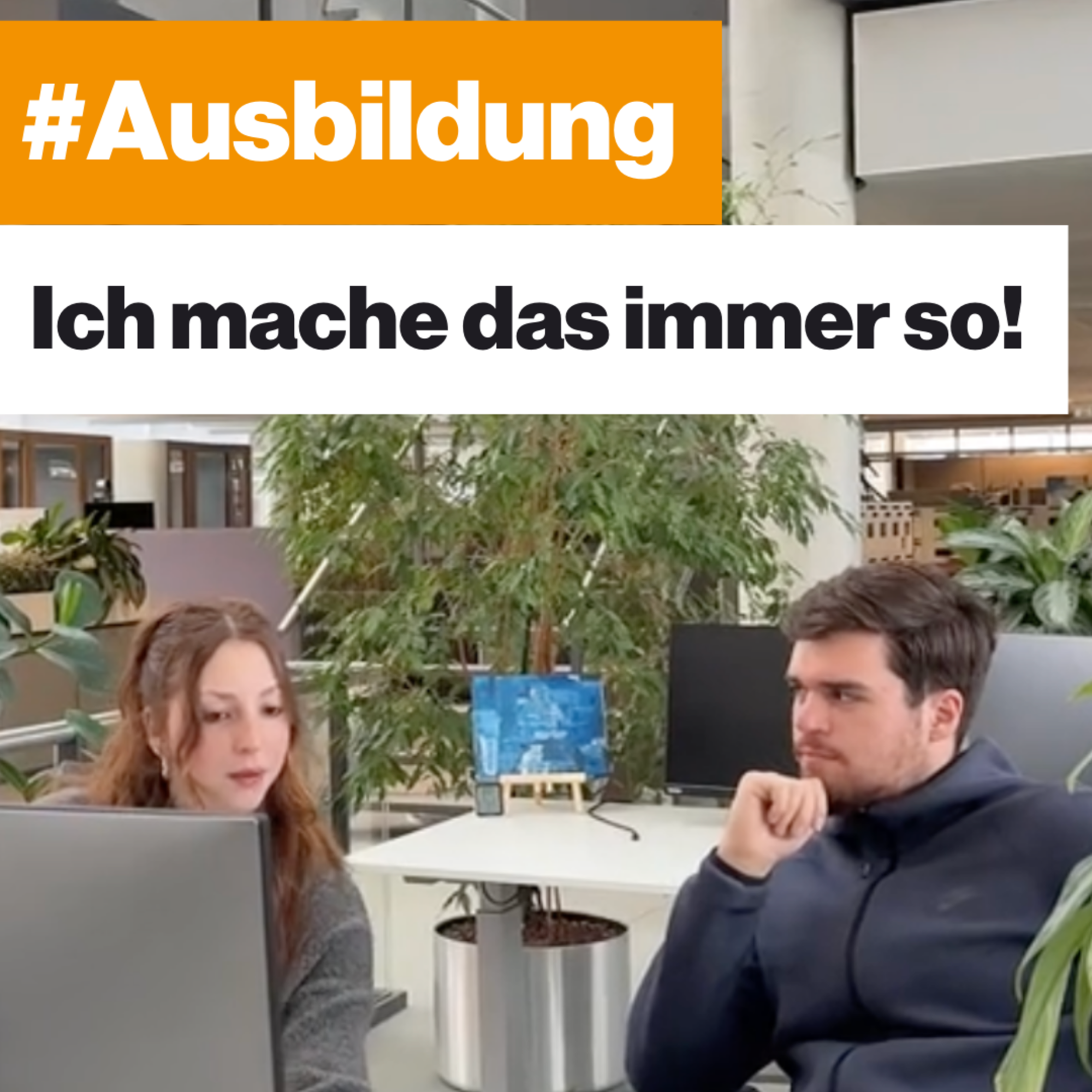 Mein Bild