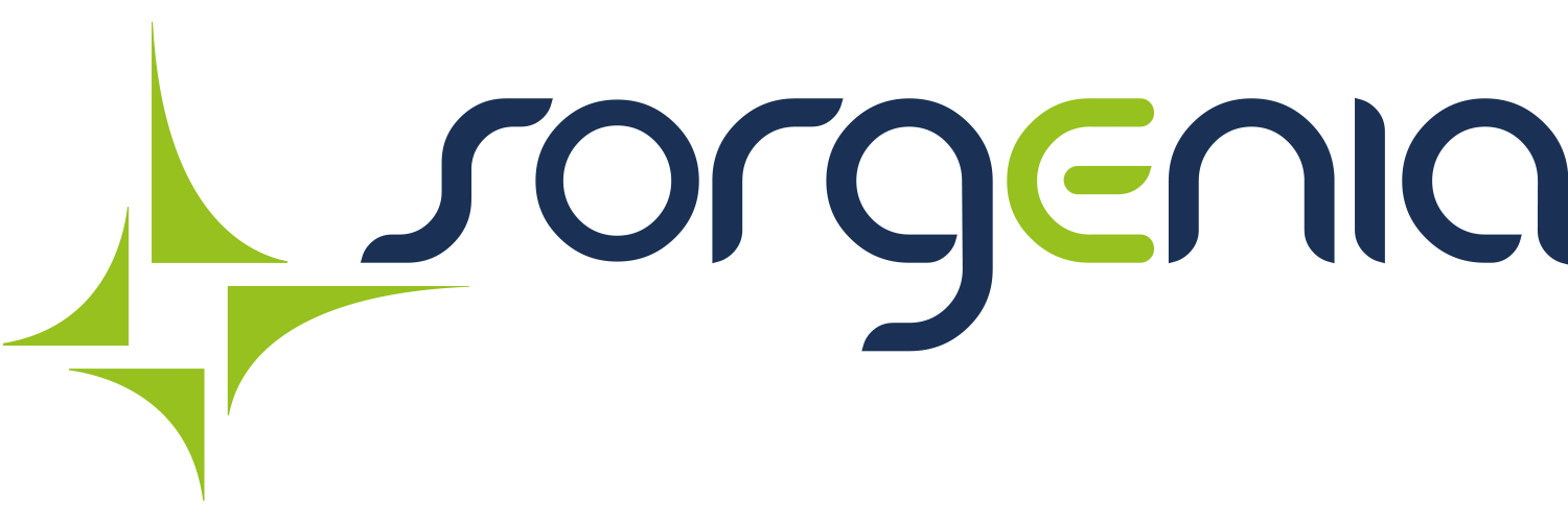 Logo 4