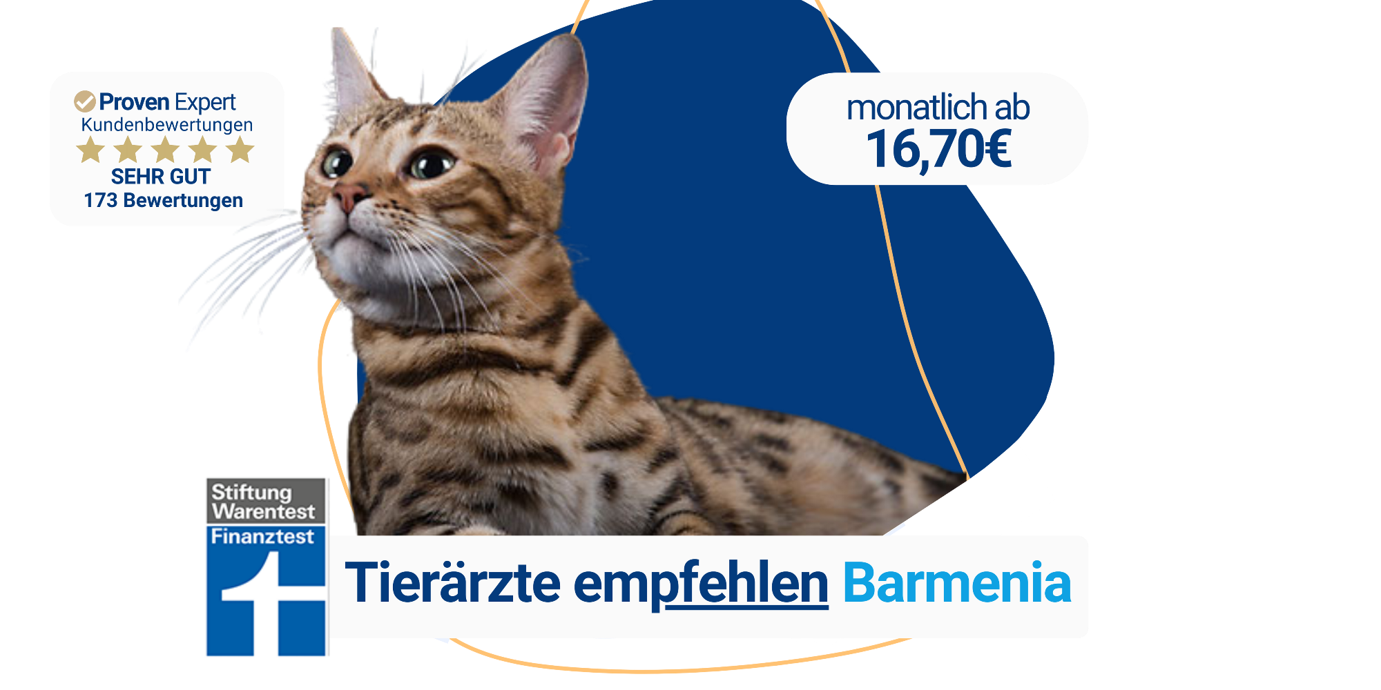 Catprotect24 die perfekte Barmenia Katzenversicherung
