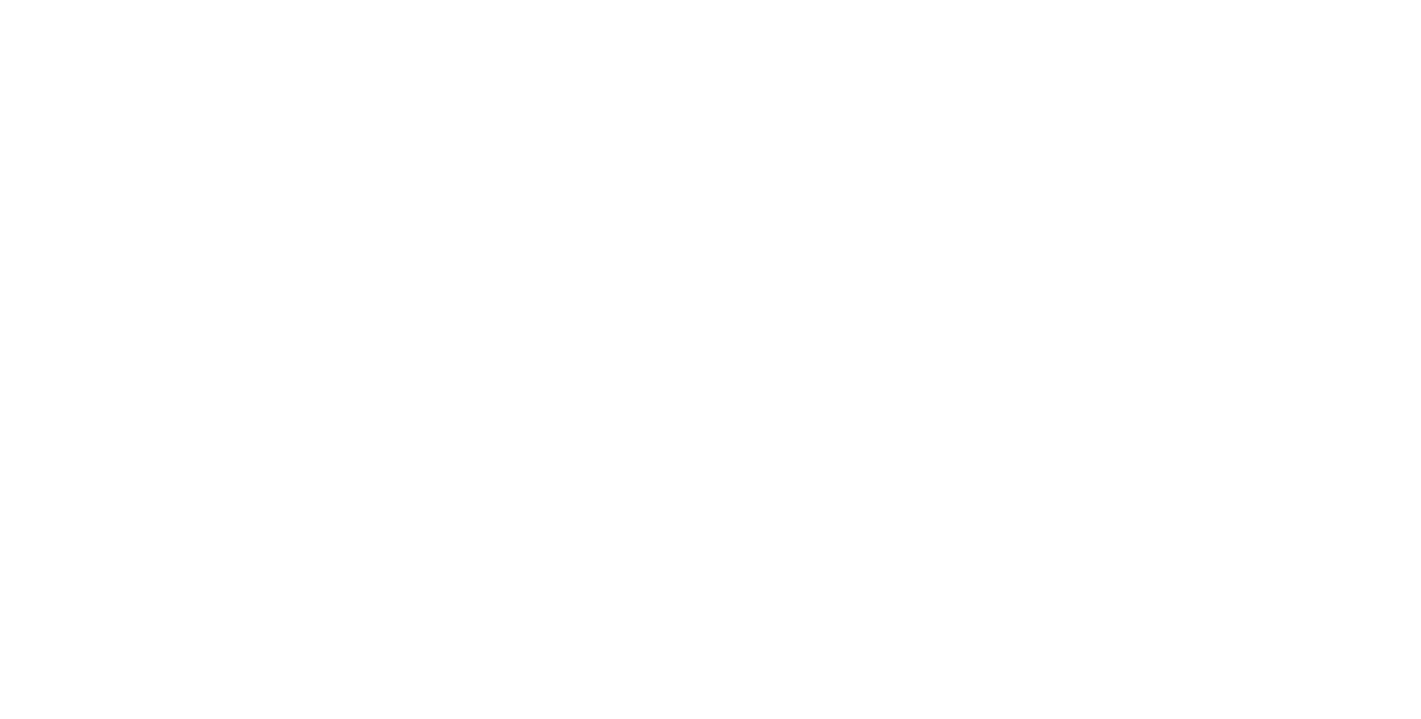 Sea Urchin