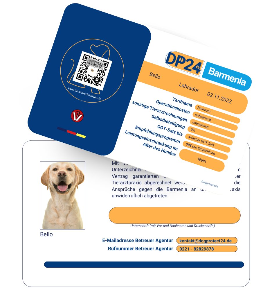 Hundekrankenversicherung mit Versichertenkarte