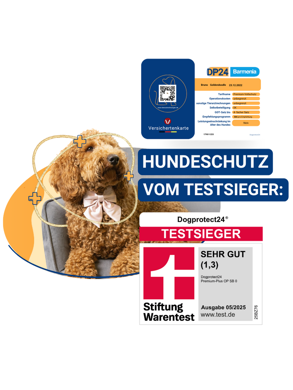 Fröhlicher Hund mit herausgestreckter Zunge präsentiert die Dogprotect24 Versichertenkarte. Auf der Karte stehen Hundename Bruno, Rasse Pointer, Tarif Premium akut, unbegrenzte Operations- und Tierarztkosten, 0 % Selbstbeteiligung. Rechts oben das Barmenia Logo, unten das Dogprotect24 Testsieger-Siegel von Stiftung Warentest (Note sehr gut 1,3, Ausgabe 04/2025). Symbolbild für die beste Hundekrankenversicherung in Deutschland, ausgezeichnet als Testsieger Stiftung Warentest