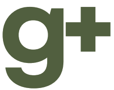 Gever Logo