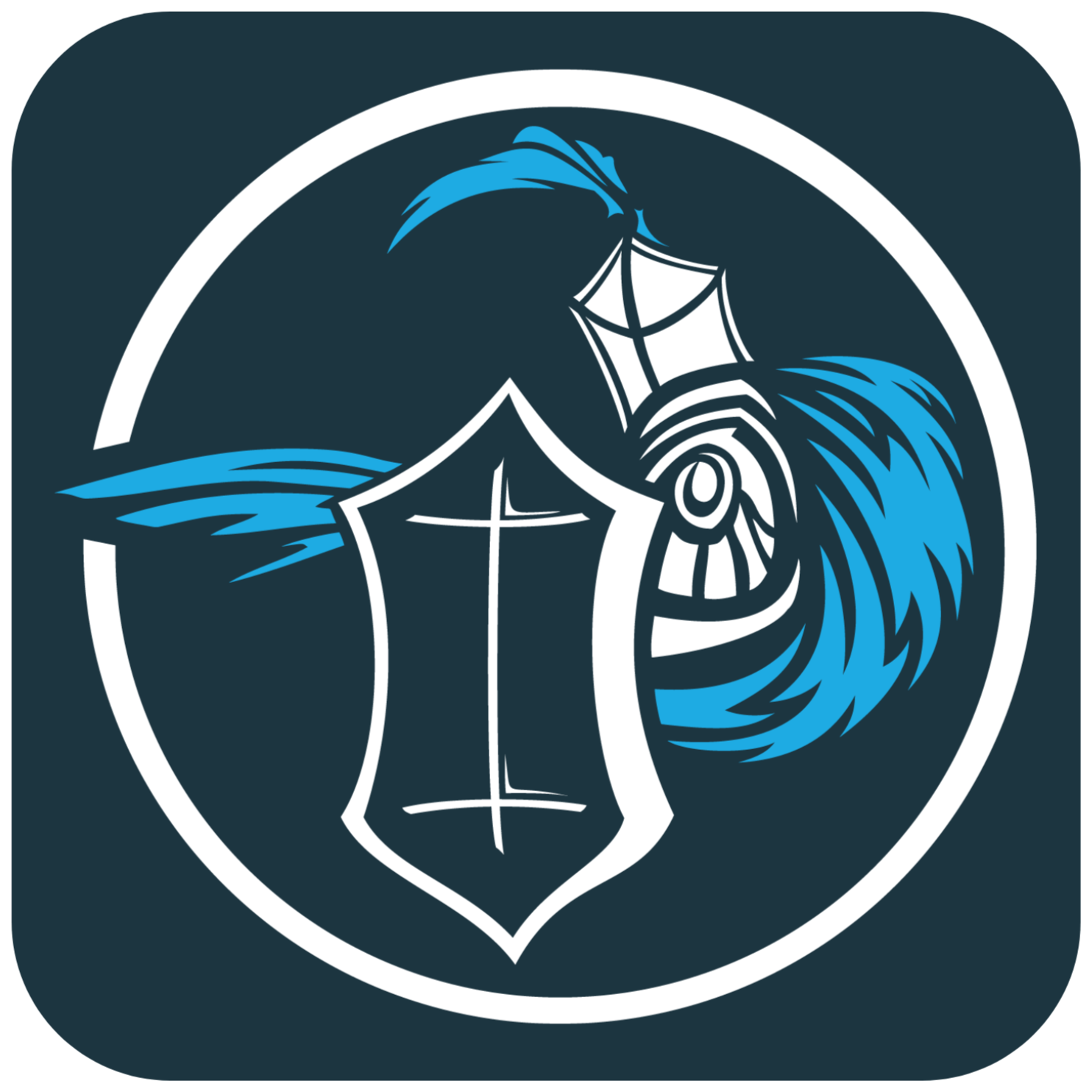 Black Knight Logo