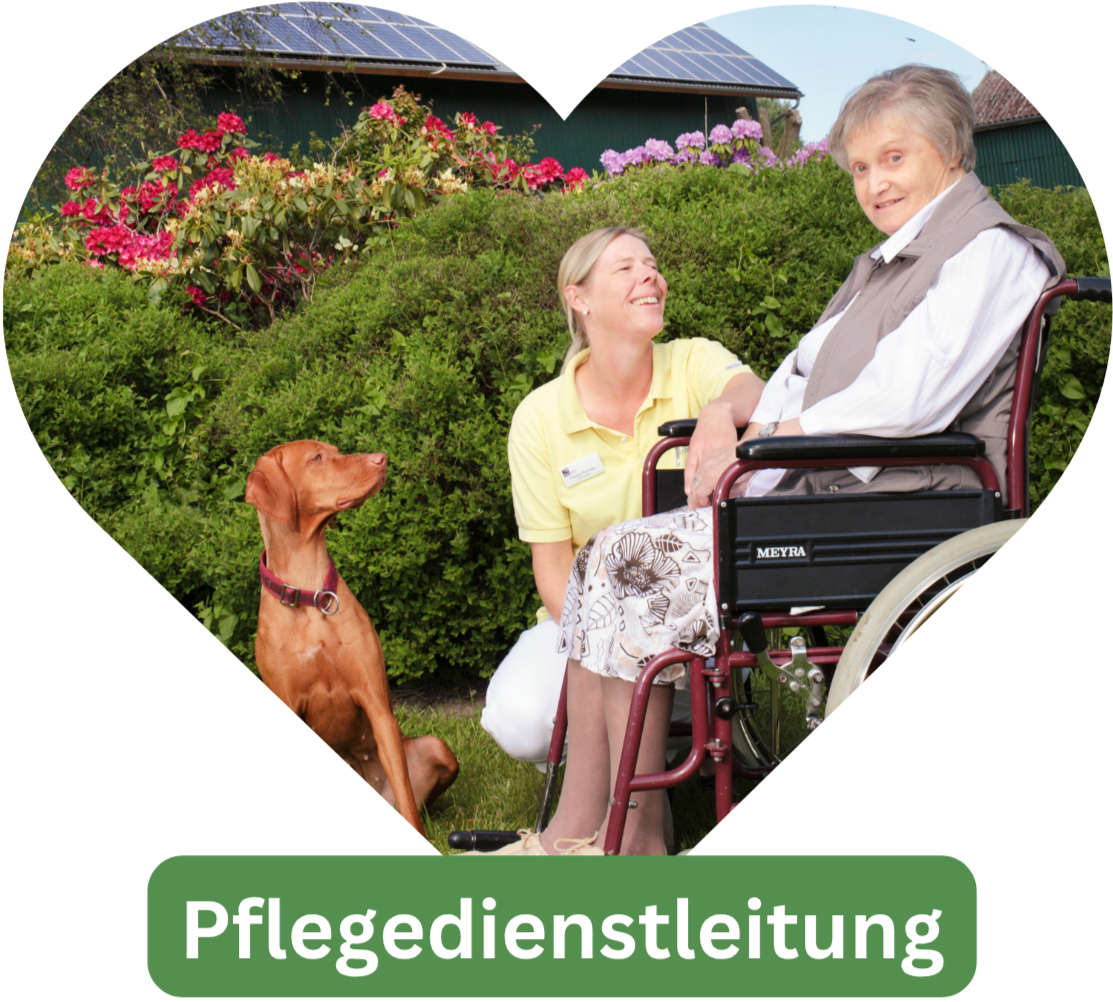 Mein Bild
